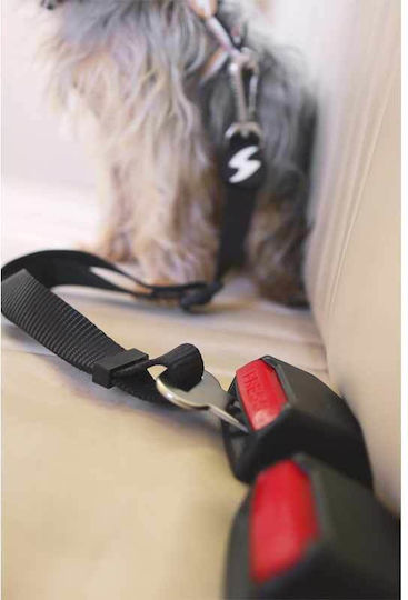 Dashi Seatbelt Car for Dog Black