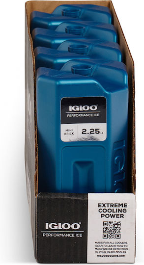 Igloo Mini Ice Brick 1020gr 41046