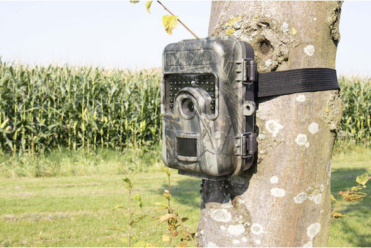 Wildcameraxl Trail Camera Camouflage Sm4-pro