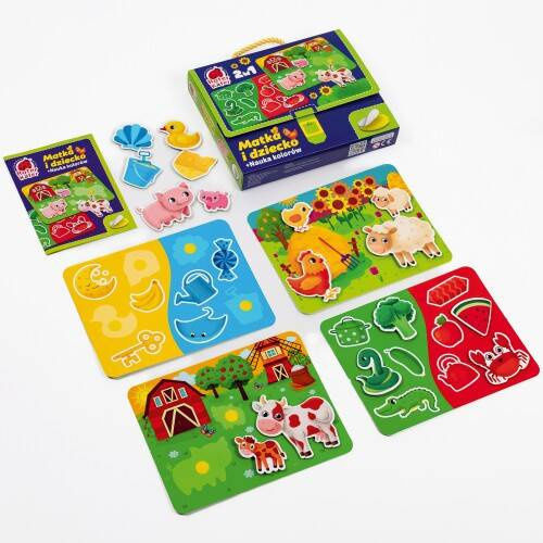 Roter Kafer Educational Game Knowledge