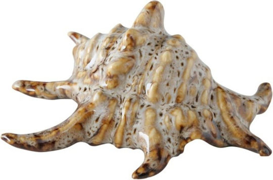 Shells Decorative Porcelain Shells 4 Pieces