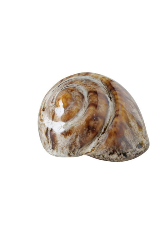 Shells Διακοσμητικά Κοχύλια Πορσελάνης 4 Τμχ