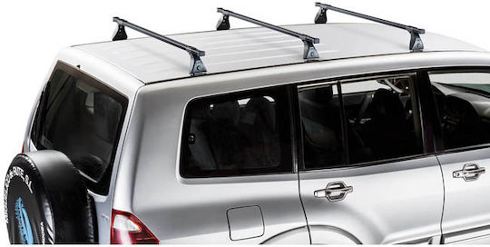 Auto Gs Μπάρες Οροφής Μεταλλικές για Citroen Jumpy (Σετ με πόδια) Ασημί
