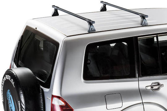 Auto Gs Μπάρες Οροφής Μεταλλικές για Citroen Jumpy (Σετ με πόδια) Ασημί