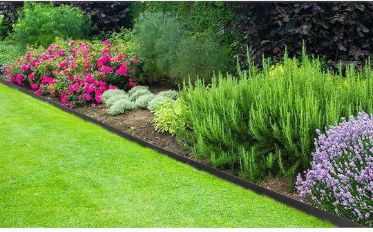 Bradas Plastic Garden Hedge in Black Colour 4cm x 10m 20 Pieces