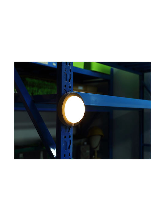 Globo Lighting Deckenleuchte Schwarz mit Integrierter LED
