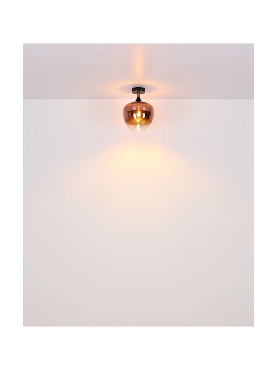 Globo Lighting Ceiling Mount Light Black with Socket E27