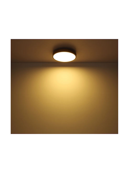 Globo Lighting Doro Plafonieră de Tavan 30buc Maro cu LED Integrat