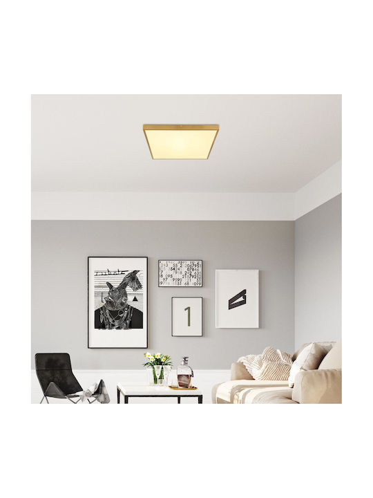 Globo Lighting Ceiling Mount Light 45cm Bronze with Integrated LED