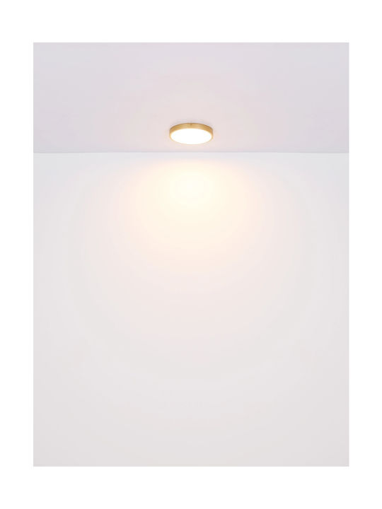 Globo Lighting Πλαφονιέρα Οροφής 25εκ. Μπρούτζινη με Ενσωματωμένο LED