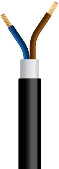Eurolamp Power Cord Type NYY with Cable Properties 2x1.5mm² in Black Colour 1m