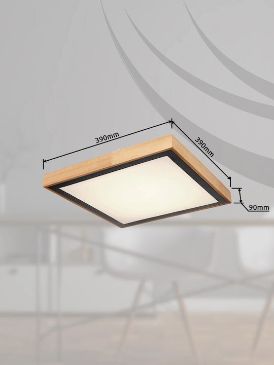 Globo Lighting Bruno Квадрат На открито LED Панел 24W с Студено бяло Светлина 6000К