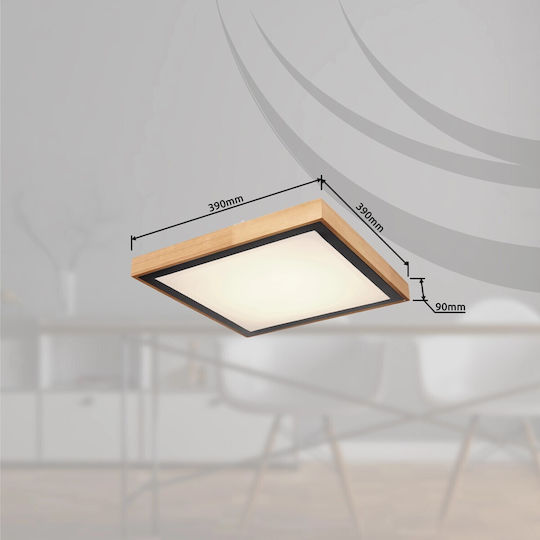 Globo Lighting Bruno Квадрат На открито LED Панел 24W с Студено бяло Светлина 6000К