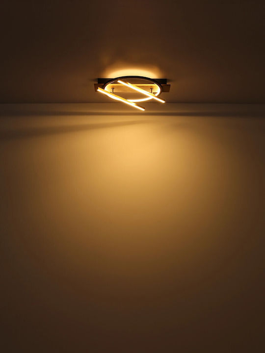 Globo Lighting Draußen LED Panel 32W