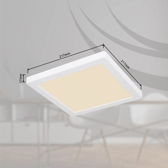 Globo Lighting Квадрат На открито LED Панел 18W с Регулируемо бяло Светлина 21.7x21.7см.