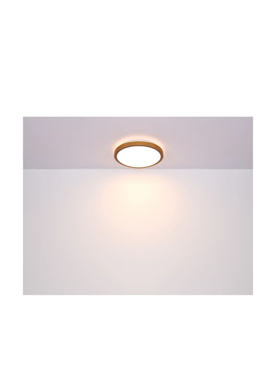 Globo Lighting Кръгла На открито LED Панел 12W с Студено бяло Светлина 6000К 30.9см.