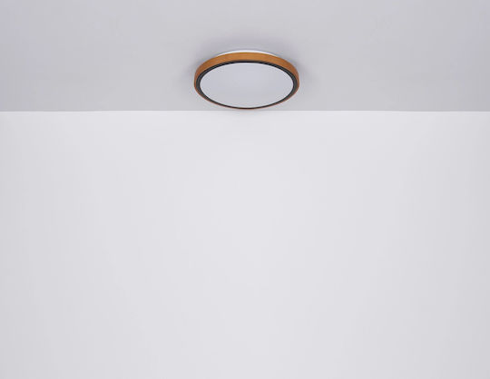 Globo Lighting Кръгла На открито LED Панел 12W с Студено бяло Светлина 6000К 30.9см.