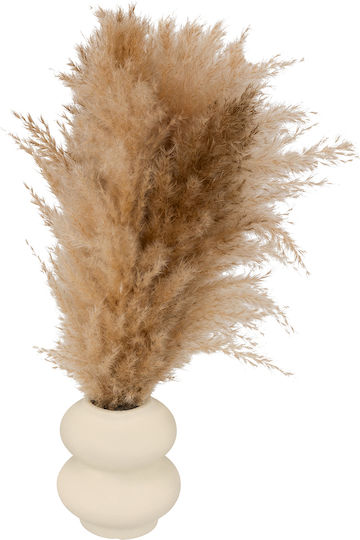 Dried Decorative Branches 42cm Vase A-s Glen 206532 Ceramic