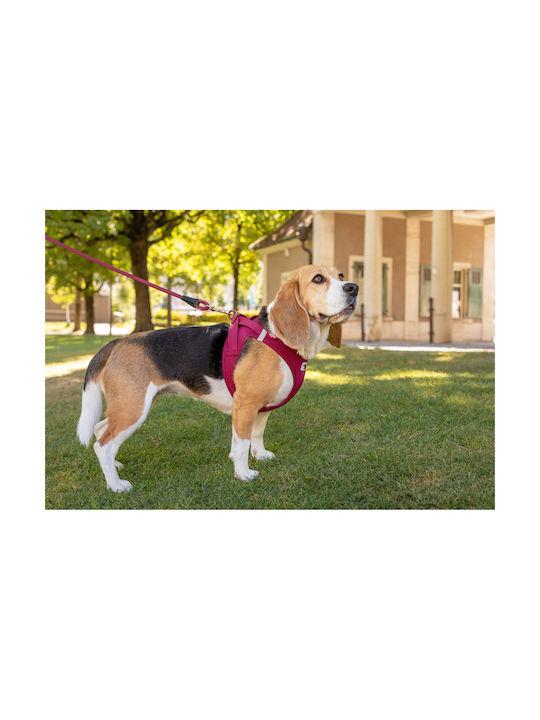 Curli Dog Harness Vest HARNESS CLASP AIR-MESH Beige Medium PN2868