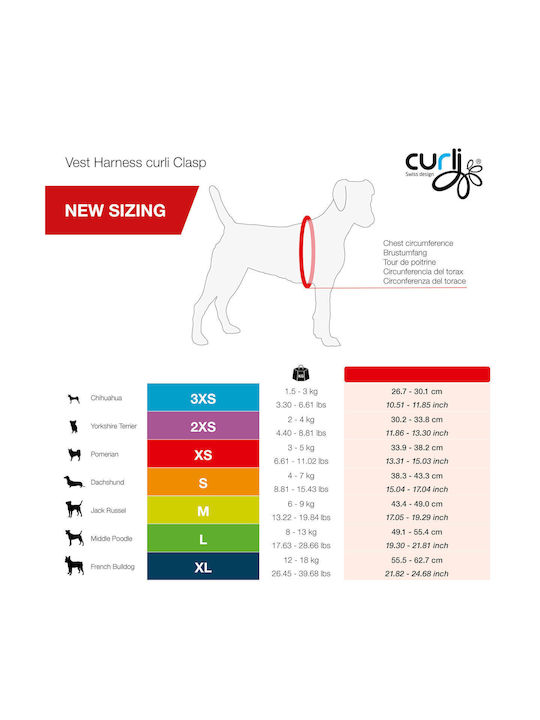 Curli Dog Harness Vest Clasp Air-Mesh Red Medium 45-50cm PN2806