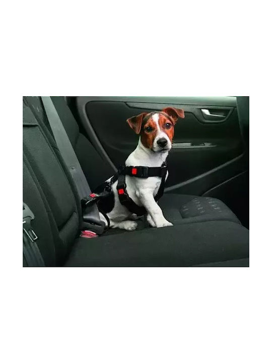 Flamingo Safety Harness Black 50-70cm