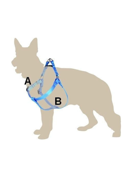 Dingo Ροζ