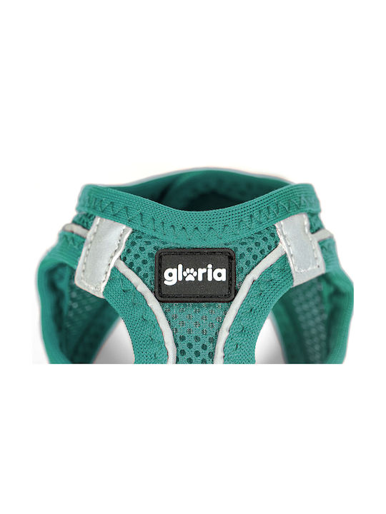 Gloriapets Turquoise Dog Harness Gloriapets Turquoise Dog Harness