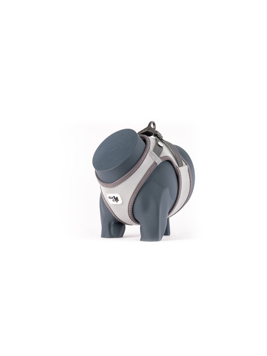 Curli Glow Clasp Σαμαράκι Reflective Γκρι Small Περίμετρος Στέρνου 38 3-43 3cm