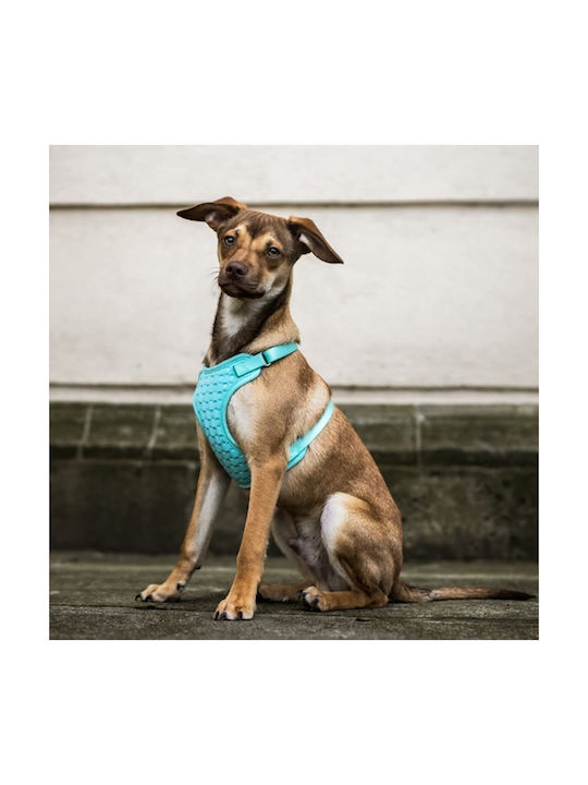 Dingo Anti-druck - Hundegeschirr - 39-51 Cm