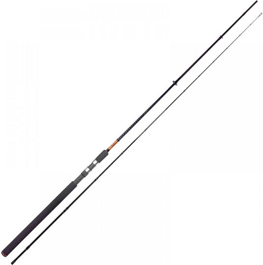 Pregio Passion Medium Fishing Rod for Shore Jigging 3.05m 45gr
