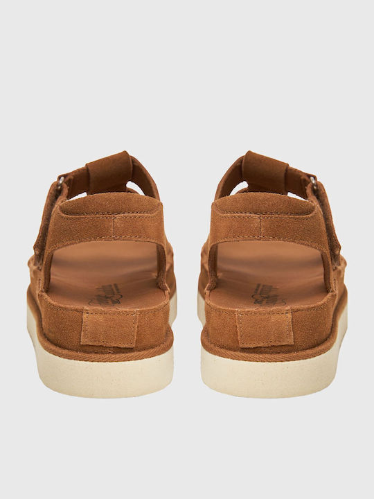 Women's Flat Sandals in Brown Color