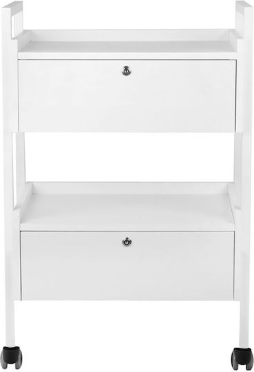 Giovanni Hair Salon Maintenance Cart
