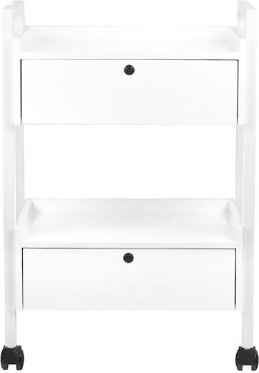 Giovanni Hair Salon Maintenance Cart