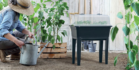 Prosperplast IPE750-S433 Mini Σπορείο 36.8x74.6x77.7cm