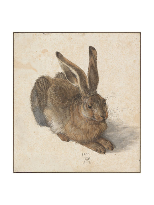 Parastone Paperweight Albrecht Dürer Hare
