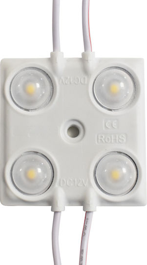 LED-Modul 1,5W 3000K IP65