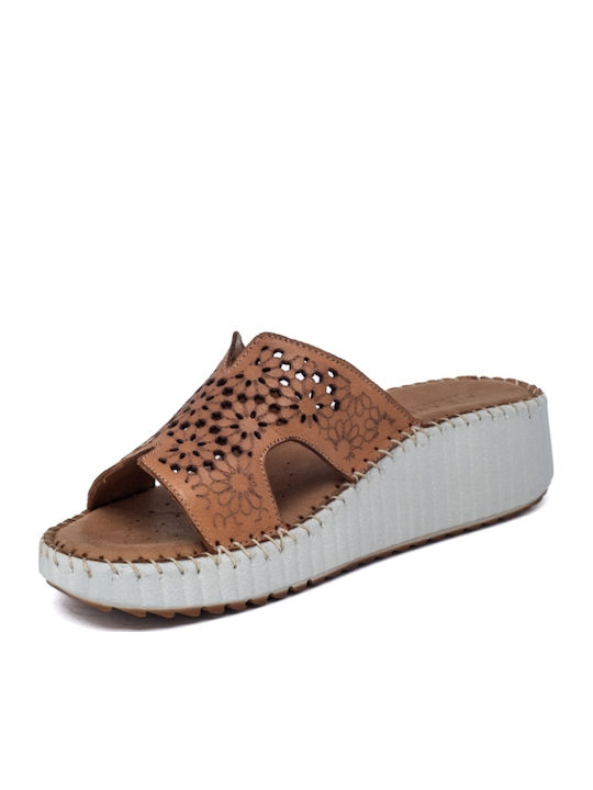 Anatomic Women's Leather Platform Shoes Brown