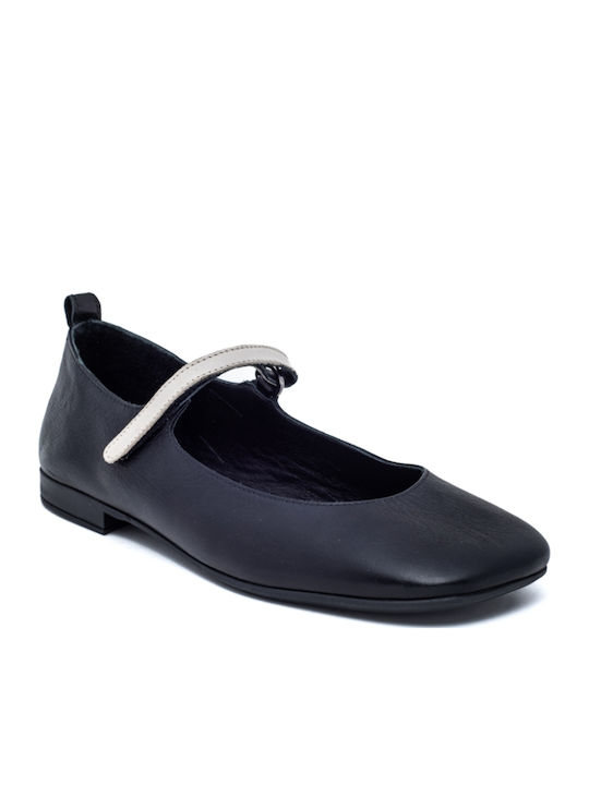 Air Anesis