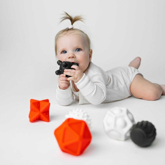 Jokomisiada Contrasting Sensory Baby Activity Toy for Newborns