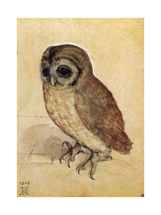 Parastone Paperweight Albrecht Dürer Owl