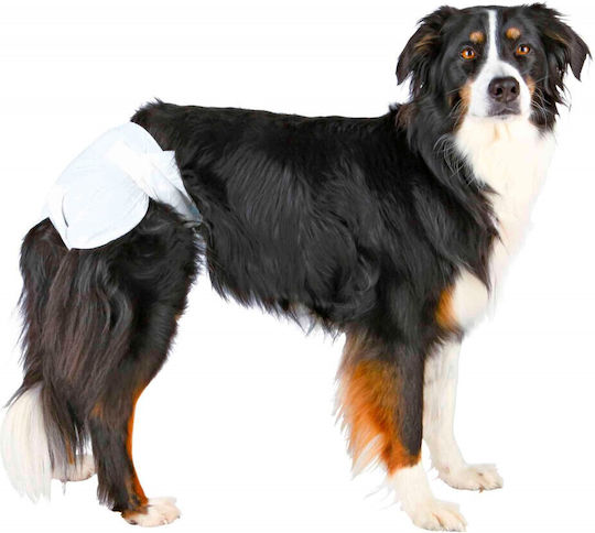 Clean Pets Servețele Igienice de Înlocuire pentru Câini 12 Bucăți