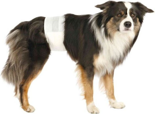 Clean Pets Schimb de scutece pentru câini Mare 12buc