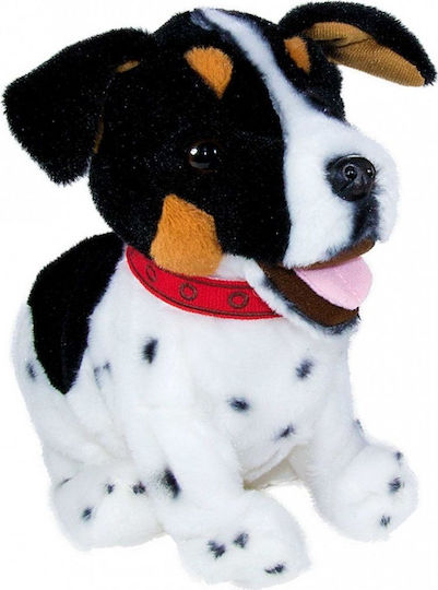Madej Plüschhund