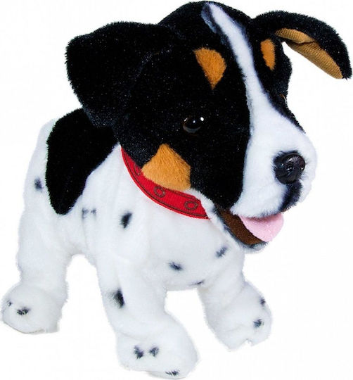 Madej Plüschhund