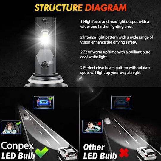 Conpex Lamps Car H7 Canbus LED 6000K Cold White 12V 55W 2pcs