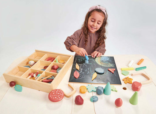 Tender Leaf Toys Αντικείμενα του Δάσους Educational Game Knowledge made of Wood for 3+ years Years Old