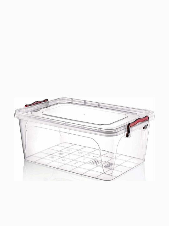 Viosarp Plastic Storage Box with Lid Transparent 30x20x12cm