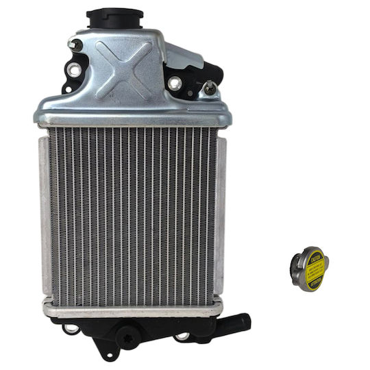 Radiator Honda PCX 125 12-18 Taiwan MPG