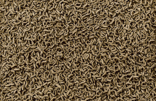 Complete Food for Water Turtles Tetra Reptomin Sticks 1L/270g