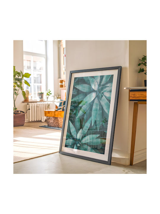 Poster Agave Plant Pst25158 21cm X 30cm